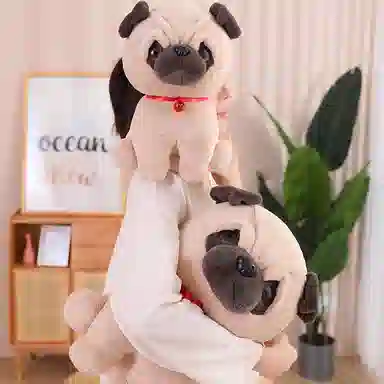 20cm30cm40cm