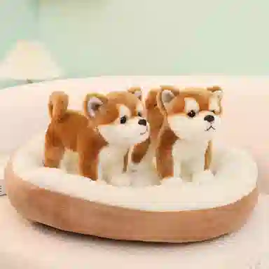 25cm35cm
