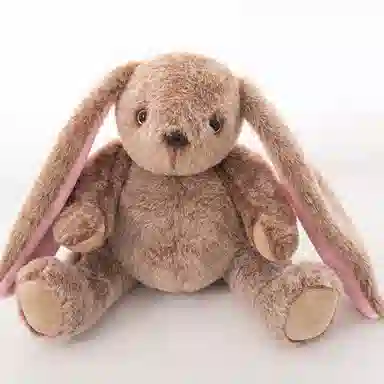 20cm