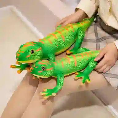 50cm65cm