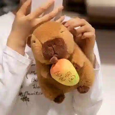 21cm28cm38cm