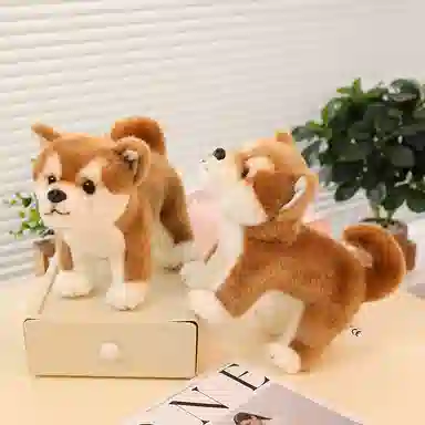 25cm35cm