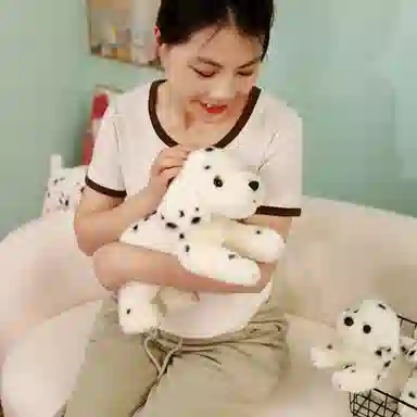 25cm35cm