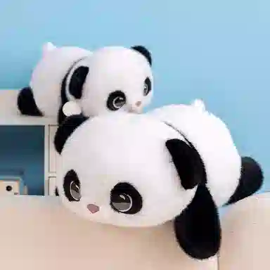 50cm60cm