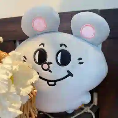26cm