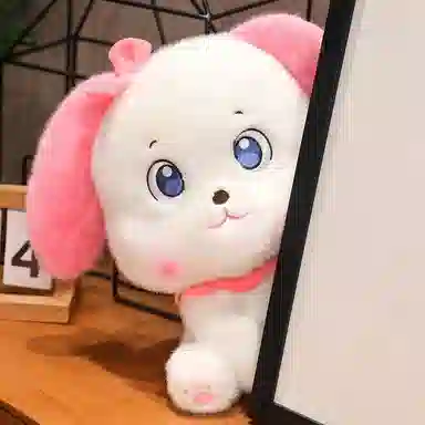 20cm30cm