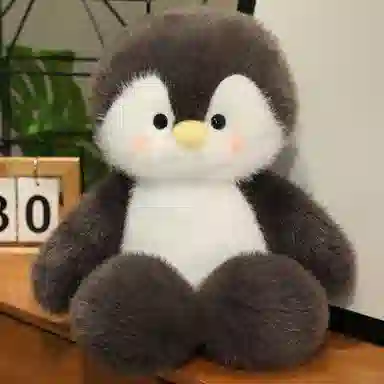 50cm