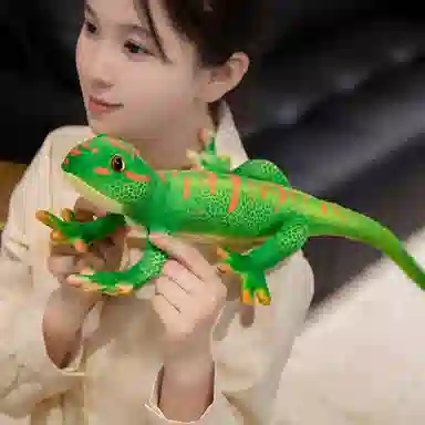 50cm65cm