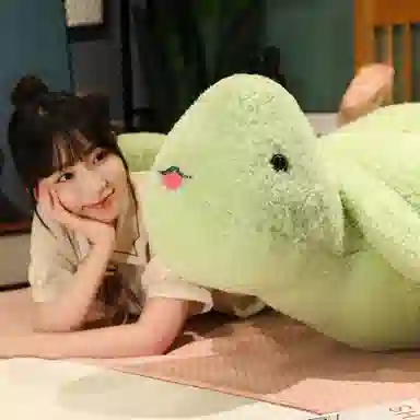 60cm80cm100cm120cm150cm