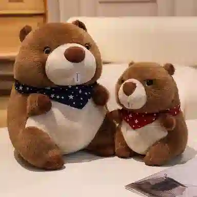 22cm30cm45cm