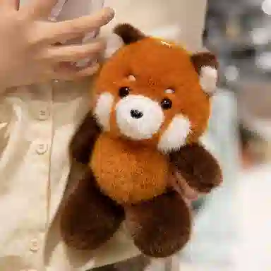25cm