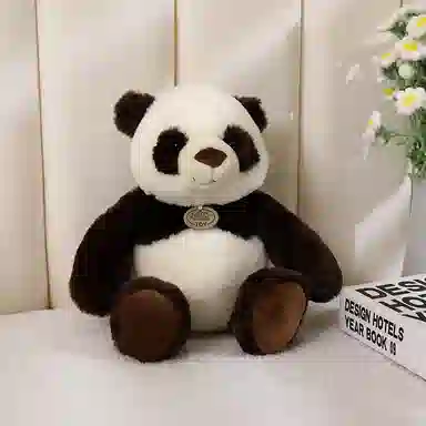 25cm