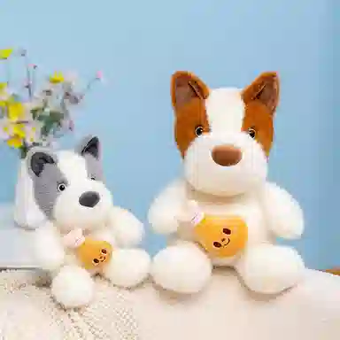 25cm35cm
