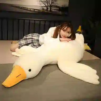 90cm130cm160cm190cm