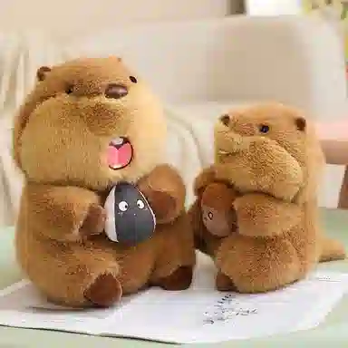 22cm30cm