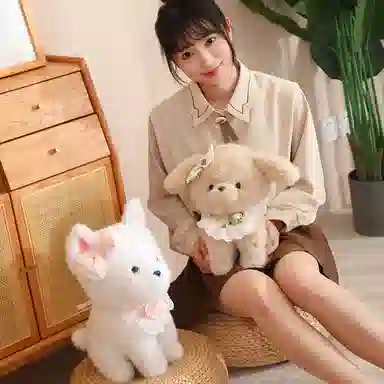 33cm40cm
