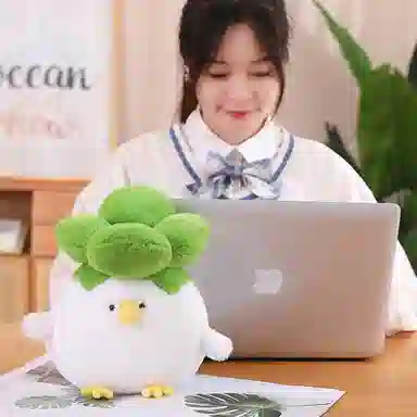 25cm40cm75cm