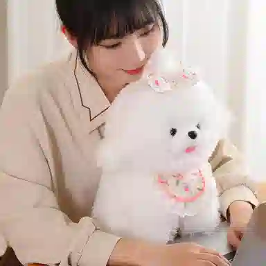 33cm40cm