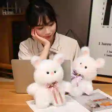 25cm40cm50cm