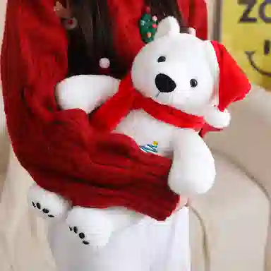 25cm33cm