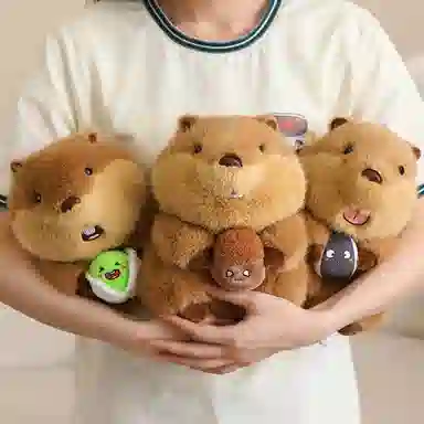 22cm30cm