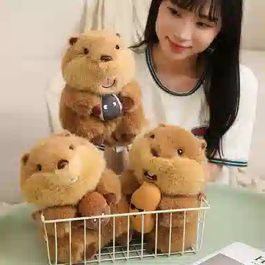 22cm30cm