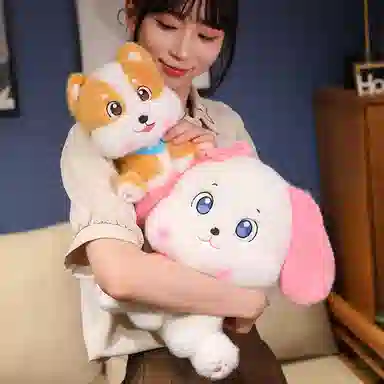 20cm30cm