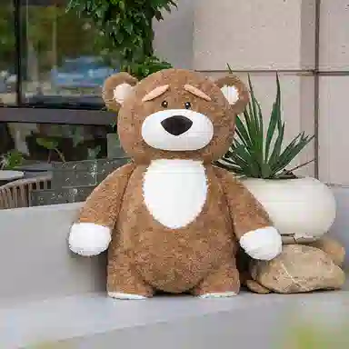 20cm40cm60cm80cm