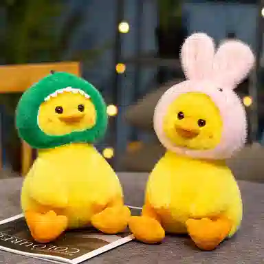 23cm30cm