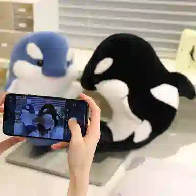 35cm50cm