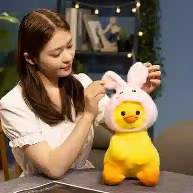 23cm30cm