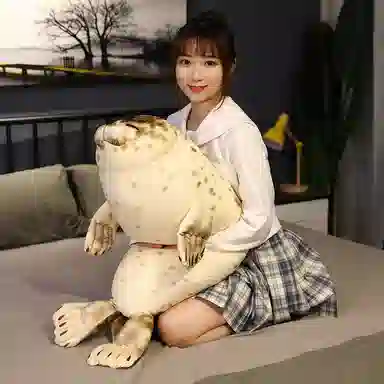 35cm50cm85cm120cm