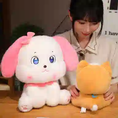 20cm30cm