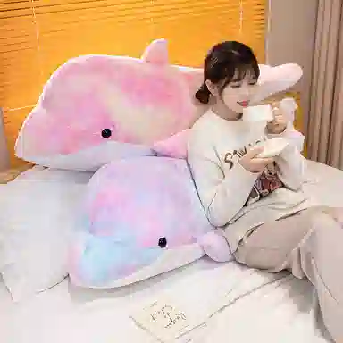 20cm45cm65cm80cm100cm