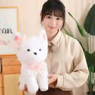 33cm40cm