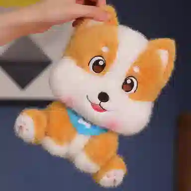 20cm30cm