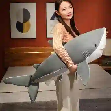 60cm90cm110cm130cm160cm