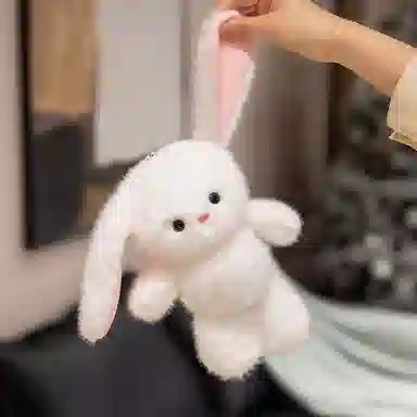 25cm