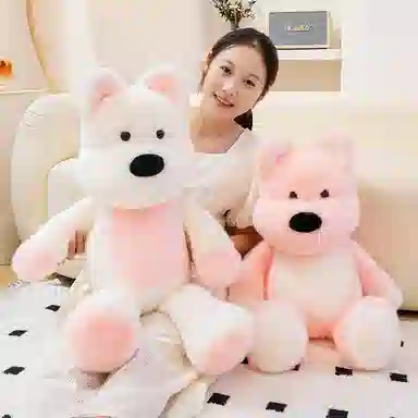55cm75cm