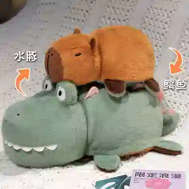 25cm35cm
