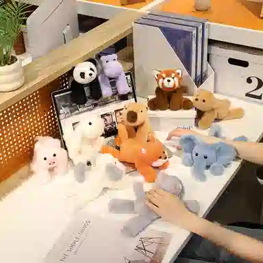 22cm