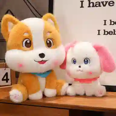 20cm30cm