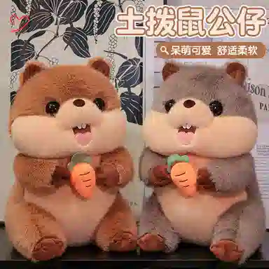 25cm40cm