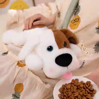 25cm35cm