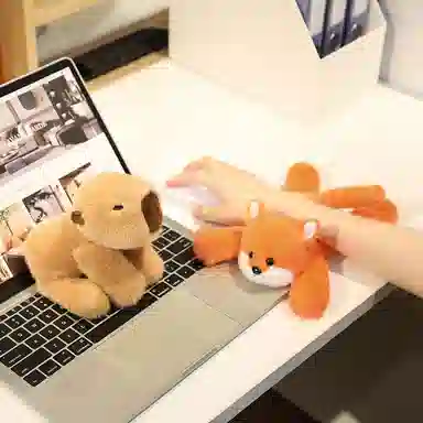 22cm