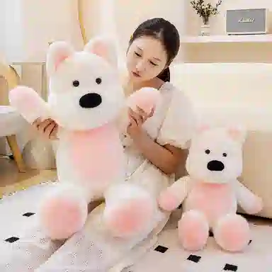 55cm75cm