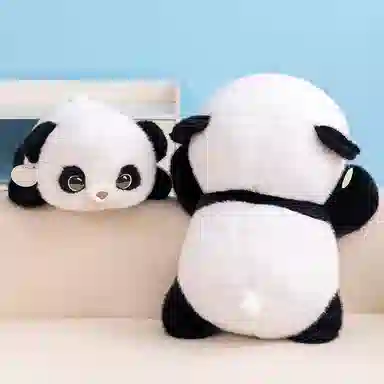 50cm60cm