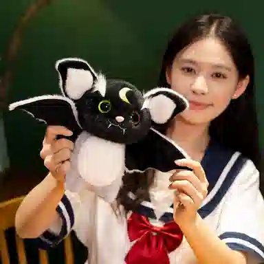 25cm