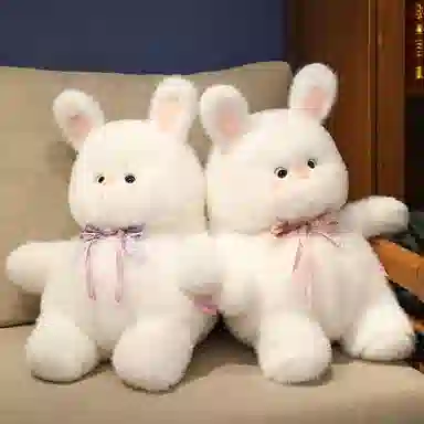 25cm40cm50cm
