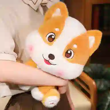 20cm30cm